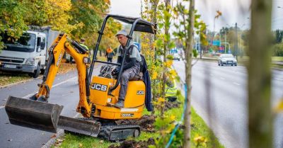 Przy Alei Włókniarzy przybędzie 120 klonów